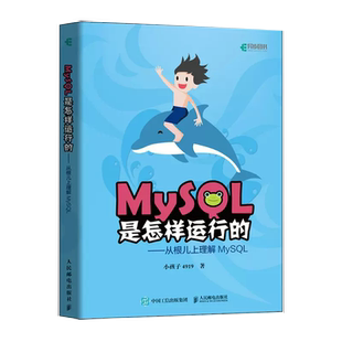 【书】MySQL是怎样运行的 从根儿上理解MySQL高性能MySQL深入浅出基础教程数据挖掘数据分析原理及应用书籍
