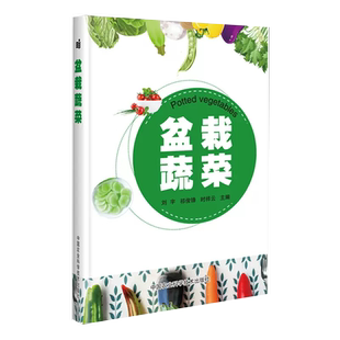 盆栽蔬菜种植栽培技术 蔬菜绿色无公害生产技术 阳台菜园 家养植物 盆栽蔬菜 家庭菜园 病虫害防治技术书籍 书