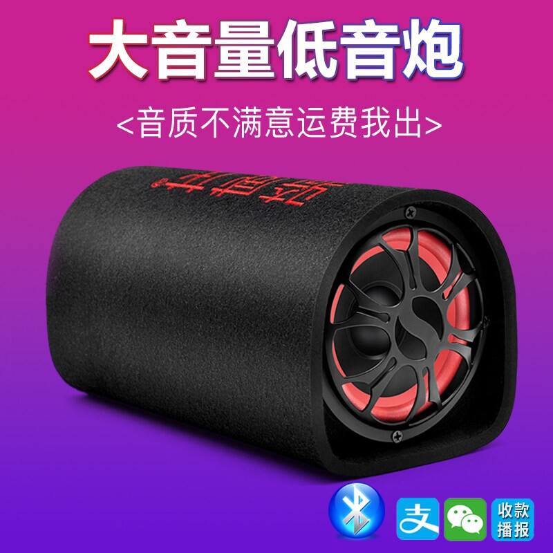 骑威龙5寸家用220V有源大功率无