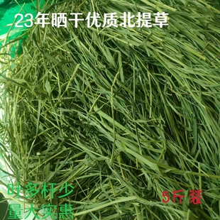 陇原提草25年新晒干北提摩西草兔兔龙猫贺兰猪饲料5斤装