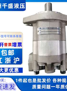 天津天机液压齿轮泵马达 GM5-5 6 8 10 12 16 20 25 30-1FE13S-20