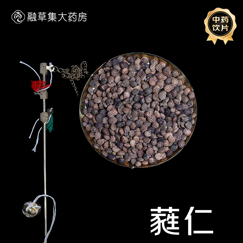 蕤仁 融草集中草药中药材店铺药材大全志治堂医药连锁中药饮片