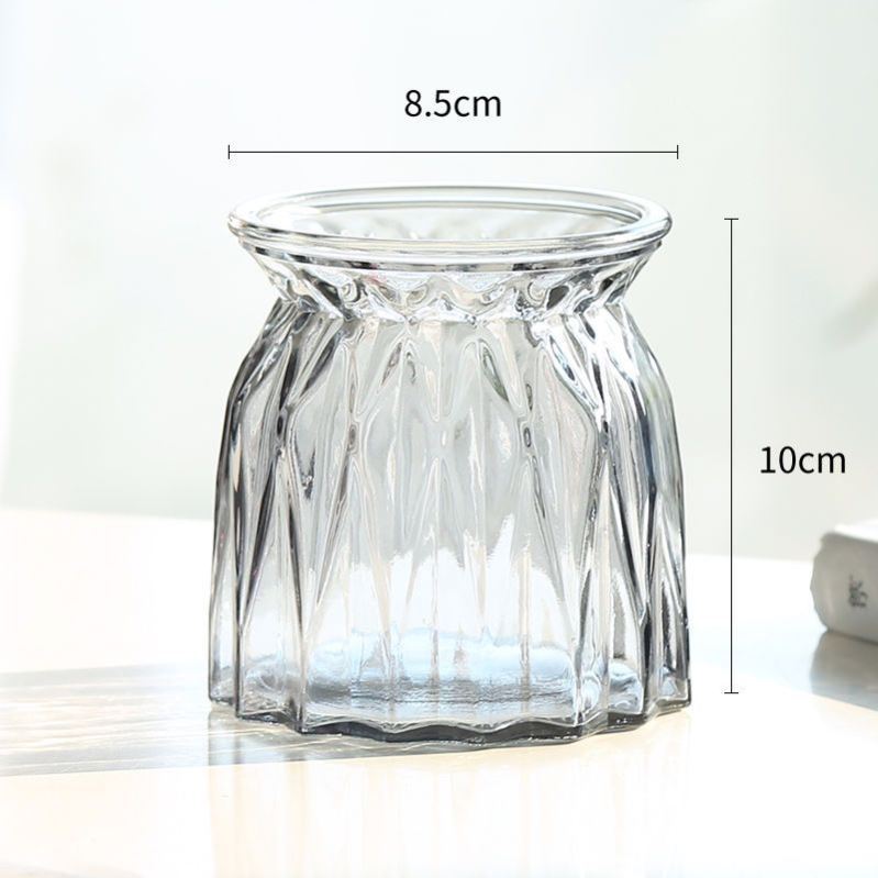 佛手柑花瓶家用水培瓶植物透明宽口玻璃容器绿萝盆养缸水养摆件