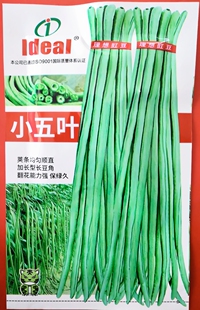 豇豆种子小五叶豇豆长豇猪仔荚天下9号豆角帮达2号无架豆种子