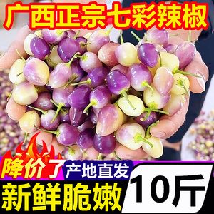 广西桂林特产七彩辣椒10斤蔬菜小米辣椒红五彩椒新鲜灯笼小辣椒