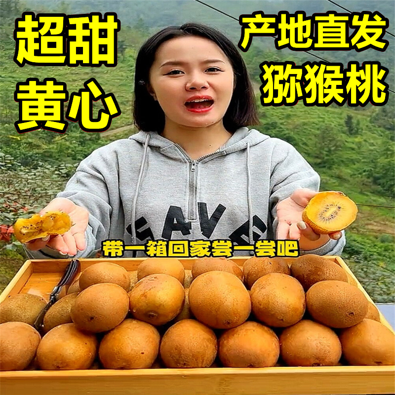 【黄心猕猴桃好评榜】官方专卖店