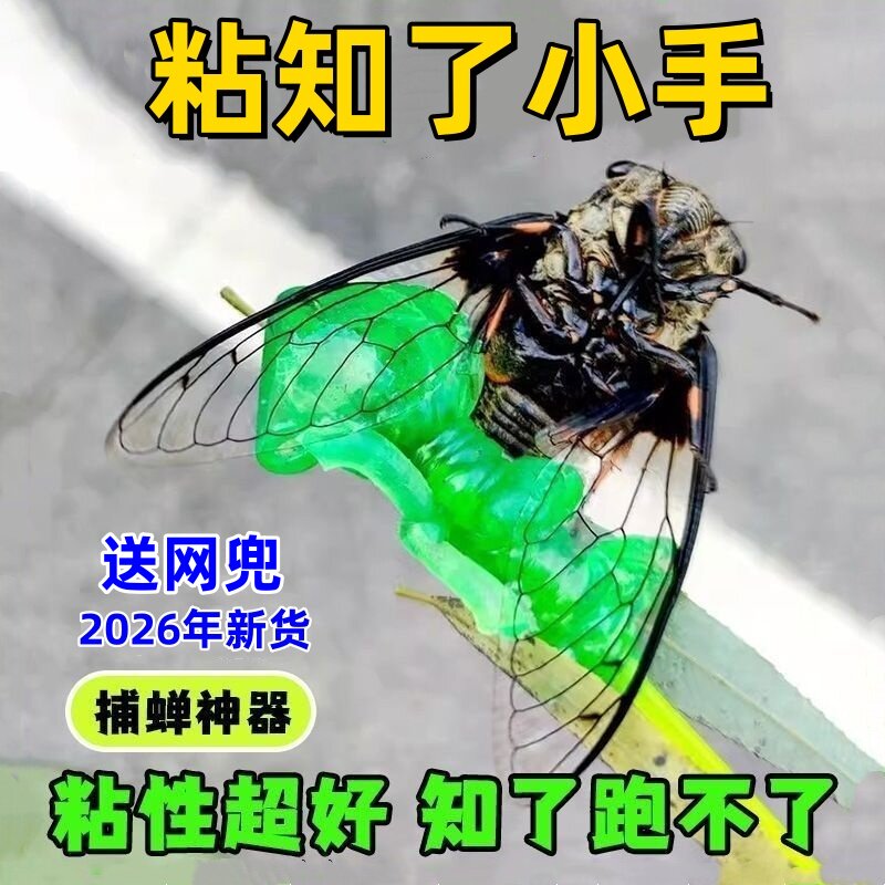知了捕捉器夏季户外解压工具圆球
