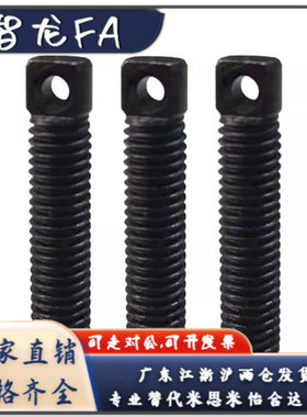 拉伸弹簧支柱FFE01-D8 D10 D12-L15 L20 L25 L30 L35 L45 L55 L65