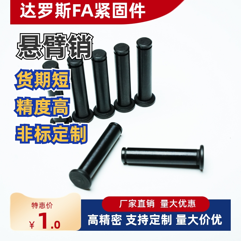 带肩铰链销非标定制MIC0