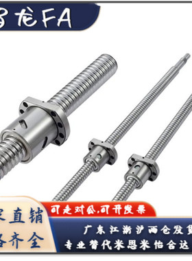 滚珠丝杠BTWE2505/2510/2525高精度直线导轨丝杆螺母精密螺杆定做
