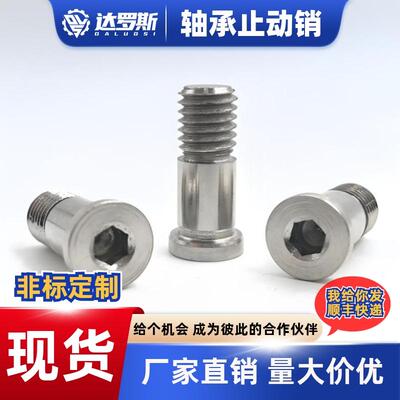 轴承止动销带肩铰链固定