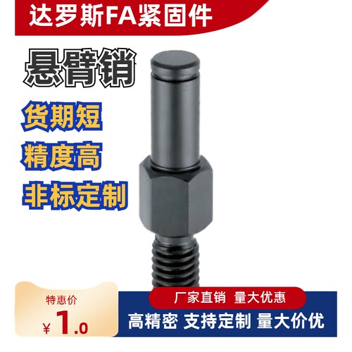 悬臂销非标定制MDD01268