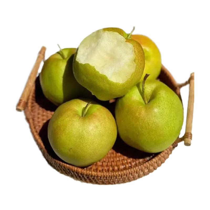 当季山西丹霞红梨应水果子