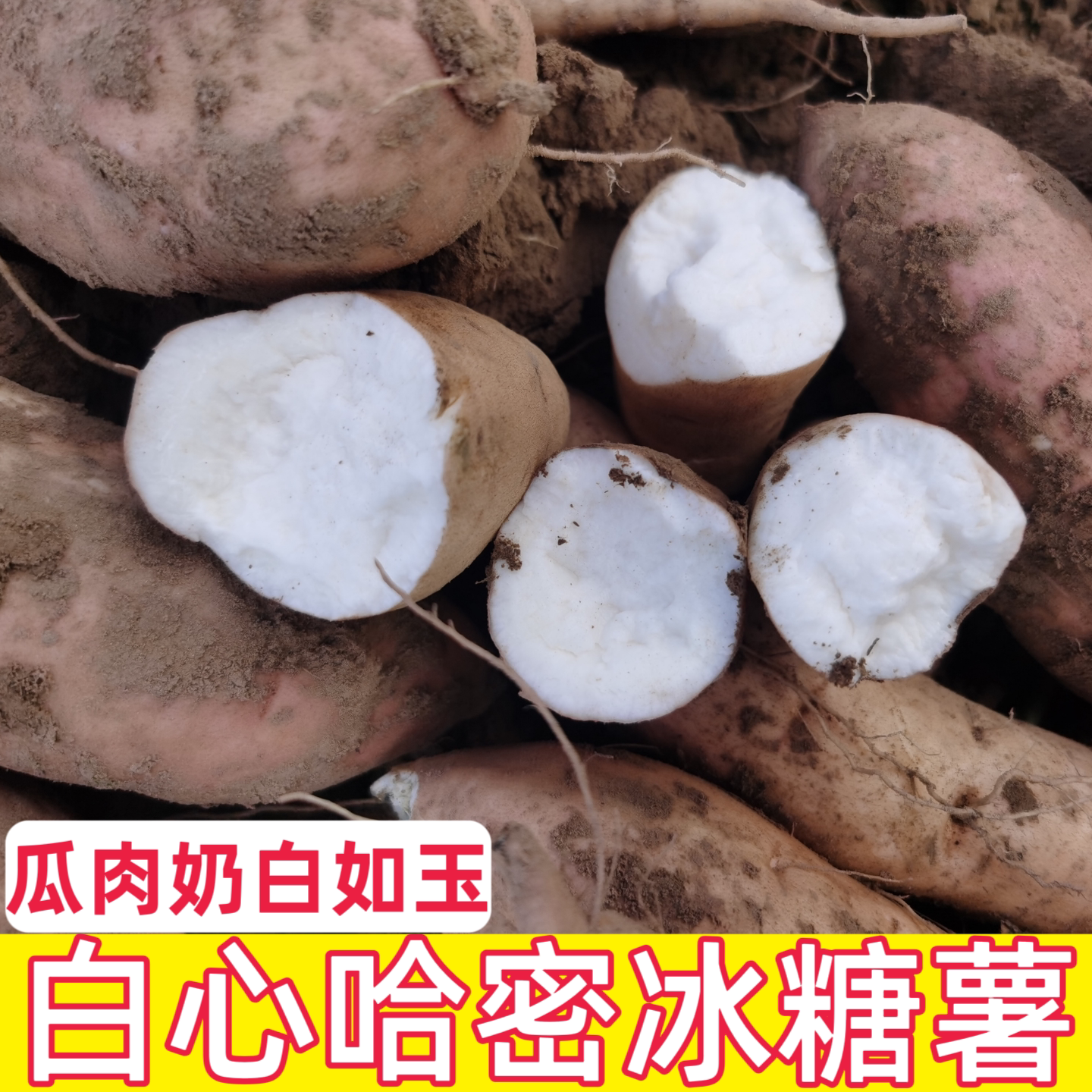 山东农家自种番薯新鲜红薯蜜薯
