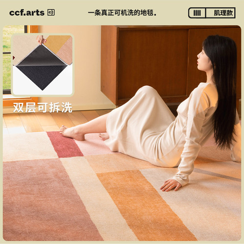 CCF可拆洗地毯藏雪绒款式