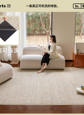【热卖】CCF双层可拆洗机洗客厅沙发地毯可机洗卧室无甲醛