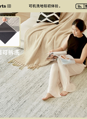 CCF 灰度幻想现代风地毯客厅双层可拆洗机洗地毯卧室地垫玄关入户