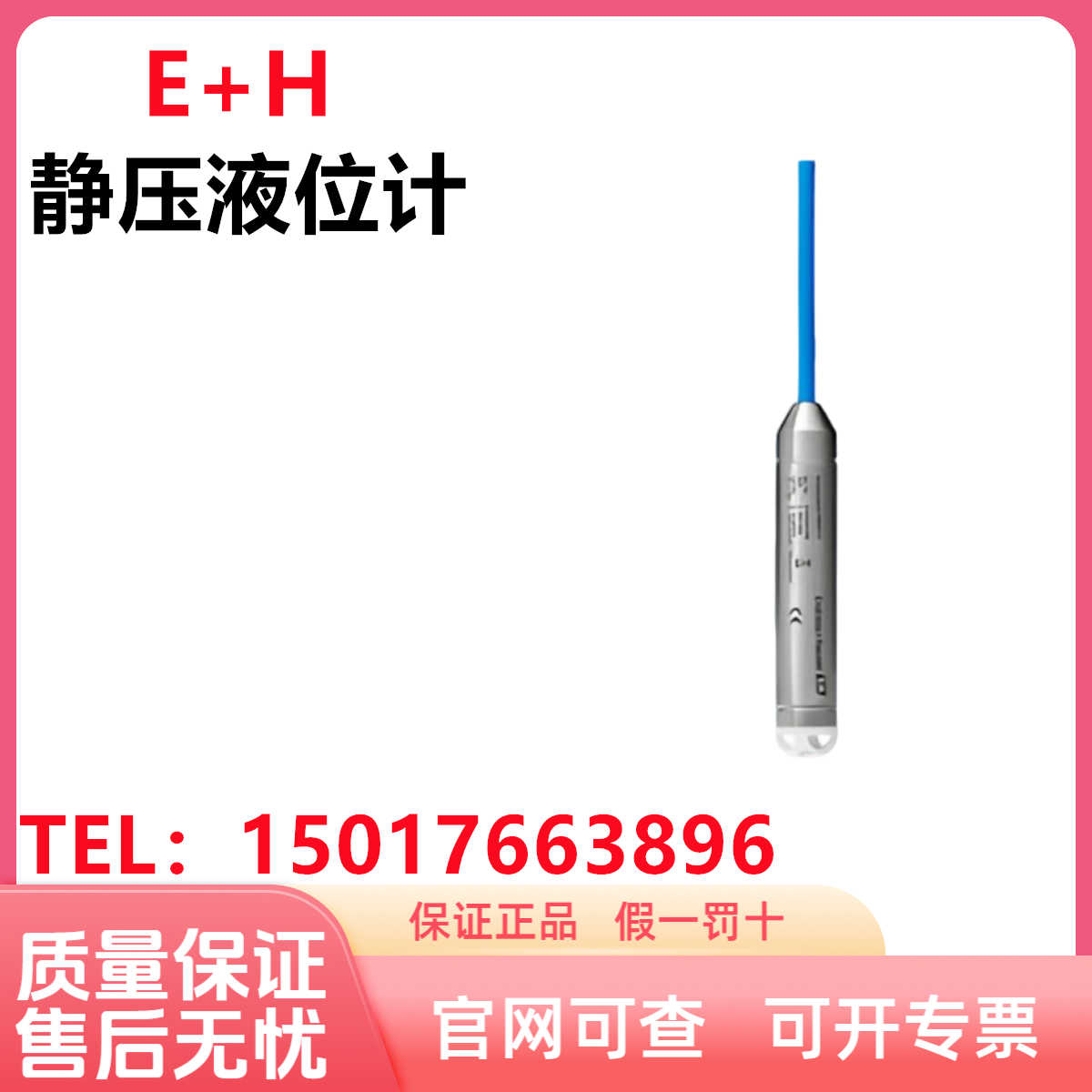 E+H恩德斯豪斯  静压液位计FMX11  FMX21