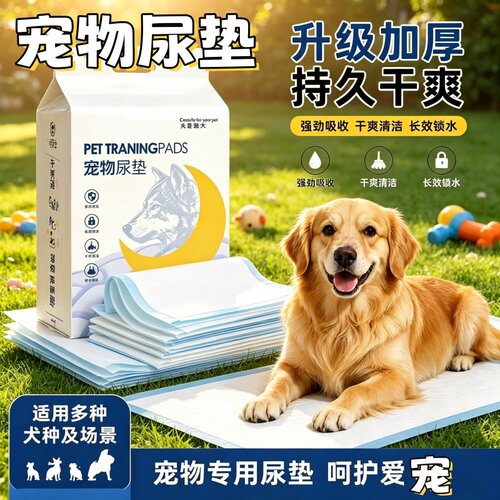 宠物尿垫宠物狗用品除臭尿片吸水垫宠物猫小猫幼猫一次性尿片加厚
