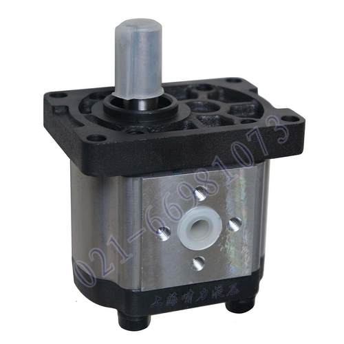 液压齿轮油泵 啸力CBTt-F310F3P7齿轮泵 可互换SDH
