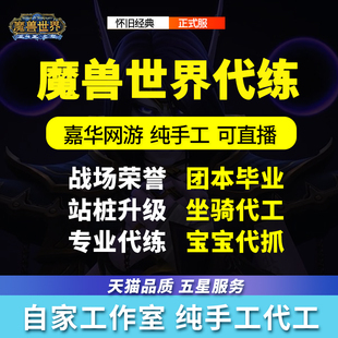 魔兽世界代练/团本/ptH后二/坐骑/幻化/站桩升级/坐骑/幻化/专业