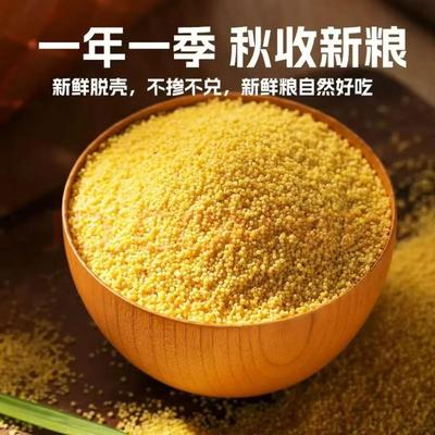 东北农家有机黄小米新10斤