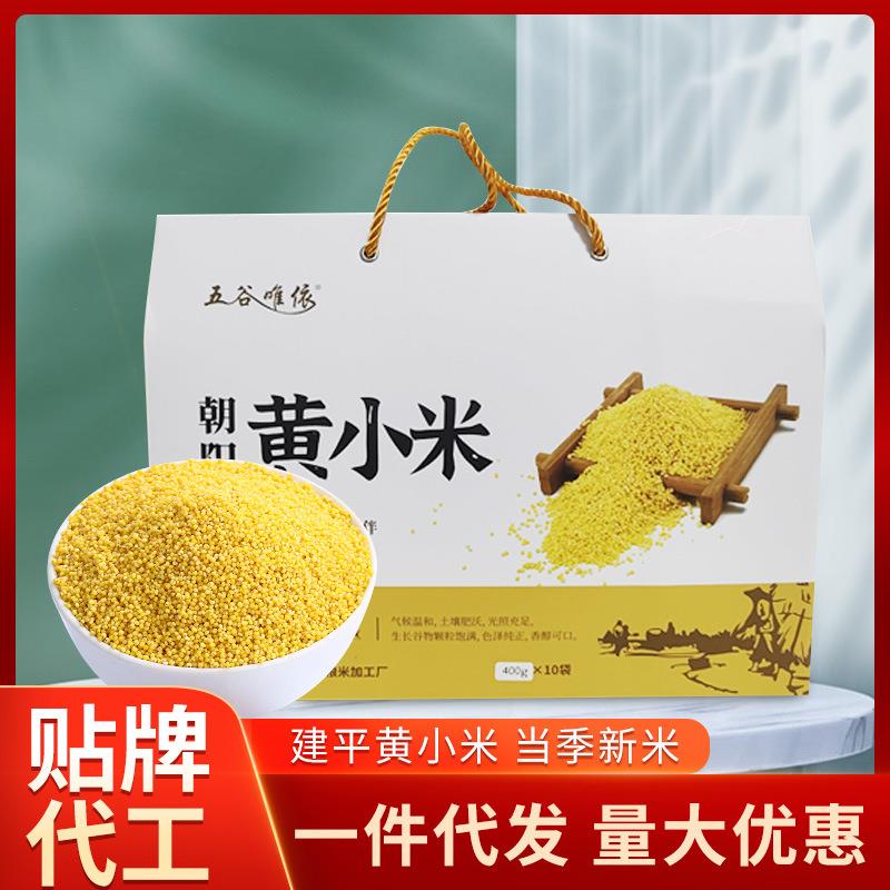 东北特产朝阳小米礼盒中秋