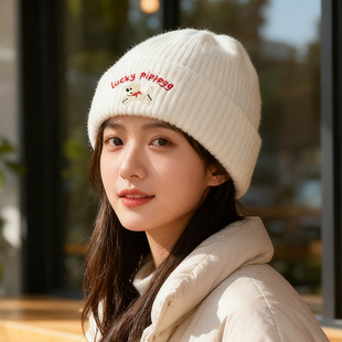 帽子秋冬女保暖毛线帽方风防寒护耳冷帽加厚氛围感显脸小针织帽男