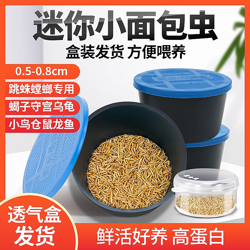 开口虫0.5厘米1厘米黄粉虫小面包虫活体乌龟鱼守宫蝎子鸟宠物饲料