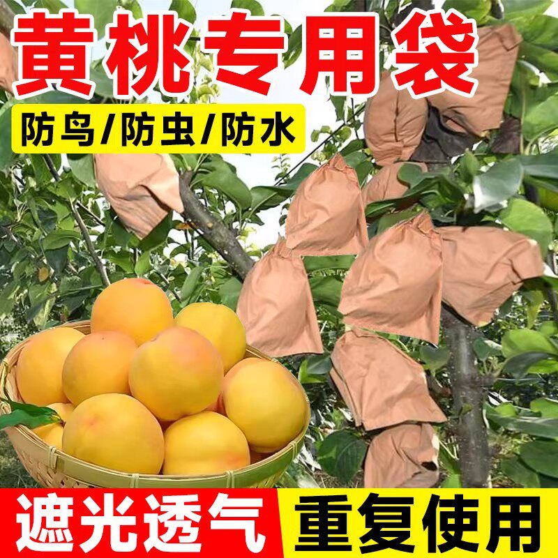 黄桃专用袋包桃子纸袋水果套袋防虫防鸟防水神器苹果梨子石榴纸袋