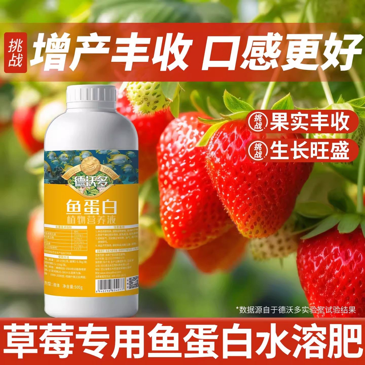 鱼蛋白水溶肥草莓专用肥氨基酸营养液草莓肥料膨大剂膨果肥有机肥