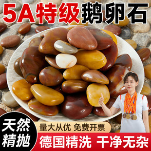 五彩鹅卵石天然铺地彩色石头批发雨花石鱼缸造景白大号原石子庭院