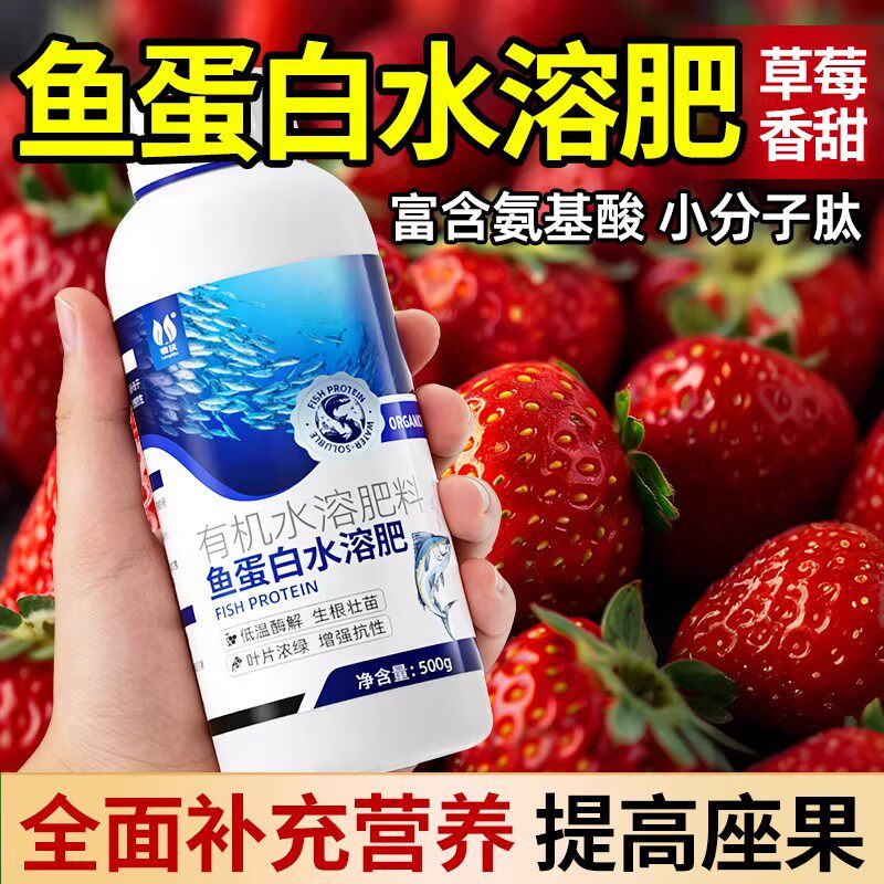 草莓专用肥鱼蛋白水溶肥氨基酸有机肥营养液膨果增甜叶面瓜果肥料