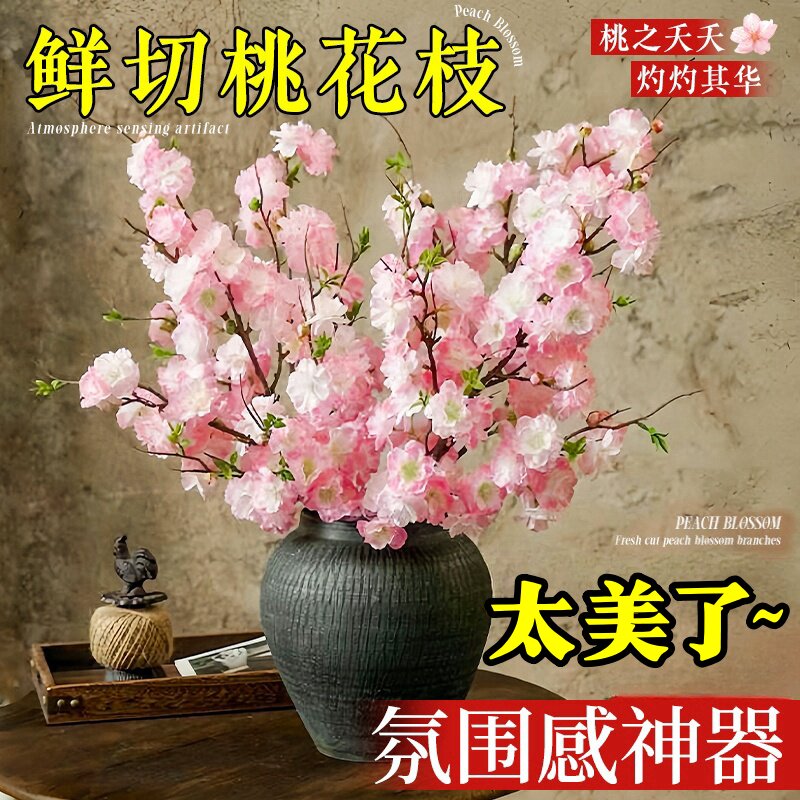 桃花枝水培植物室内好养雪柳鲜枝水培红梅干 干枝带花苞鲜切花卉