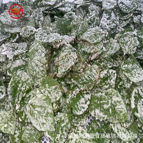 新品桑叶裹浆机 炸翠叶的机器 绿叶上浆油炸机生产线厂家