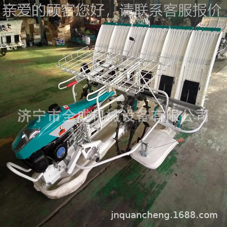 2Z-6型手插扶式TIL汽油插秧机农用6行水稻稻机价格F水稻插秧机