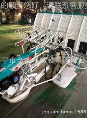2Z-6型手插扶式TIL汽油插秧机农用6行水稻稻机价格F水稻插秧机