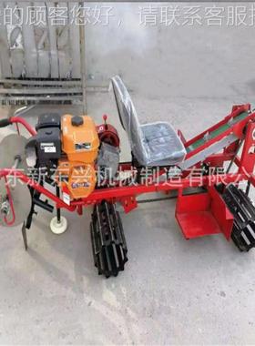 走式生姜姜毛芋CTQ头种机 黄自种植机 农用下姜植种机器