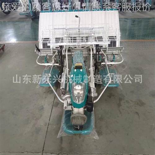 农水田插秧机 用手推式播插秧机种 NFT高效出口型水稻种植机