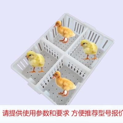 厂家供应四格鸡苗筐 小鸡箩 带隔断用鸡苗运输箱 鸡雏运输筐子