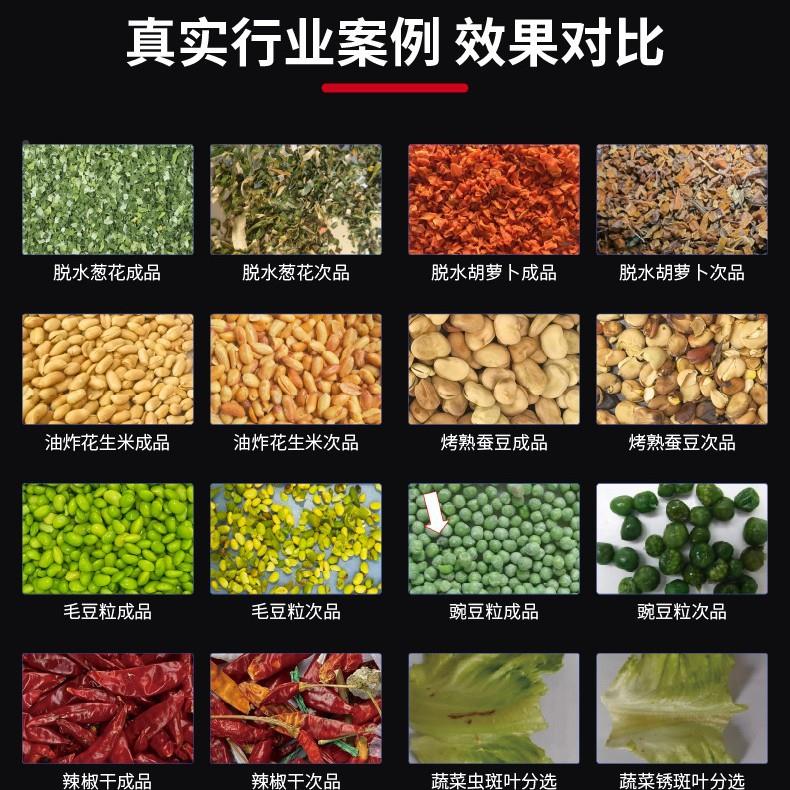 干果杂去除质带式智能分TCS-DB-B履选机葡萄干蓝干莓干草莓霉变筛