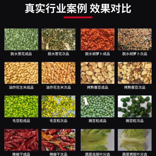 干果杂去除质带式智能分TCS-DB-B履选机葡萄干蓝干莓干草莓霉变筛