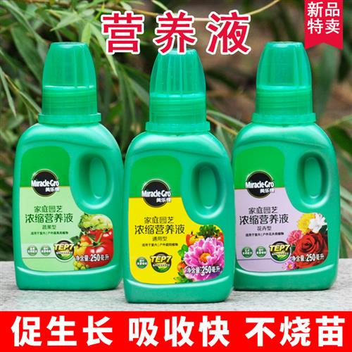 植物绿色蔬菜水培植物营养液四季通用盆栽花卉绿植通用富贵竹肥料