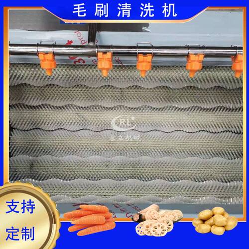 全自动红薯土豆毛刷清洗机芋头萝卜自动毛刷清洗设备水果清洗机