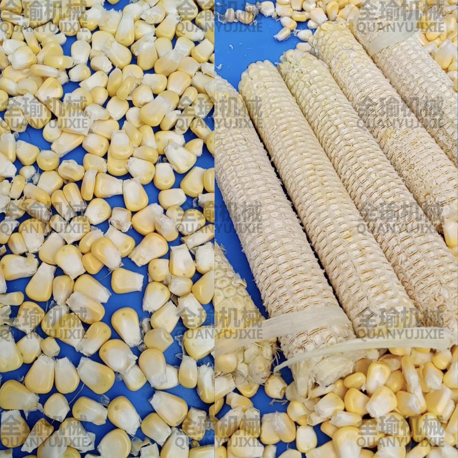 n台湾玉米脱粒机 电动商用玉米剥粒机 不锈钢玉米刨粒机厂家直销