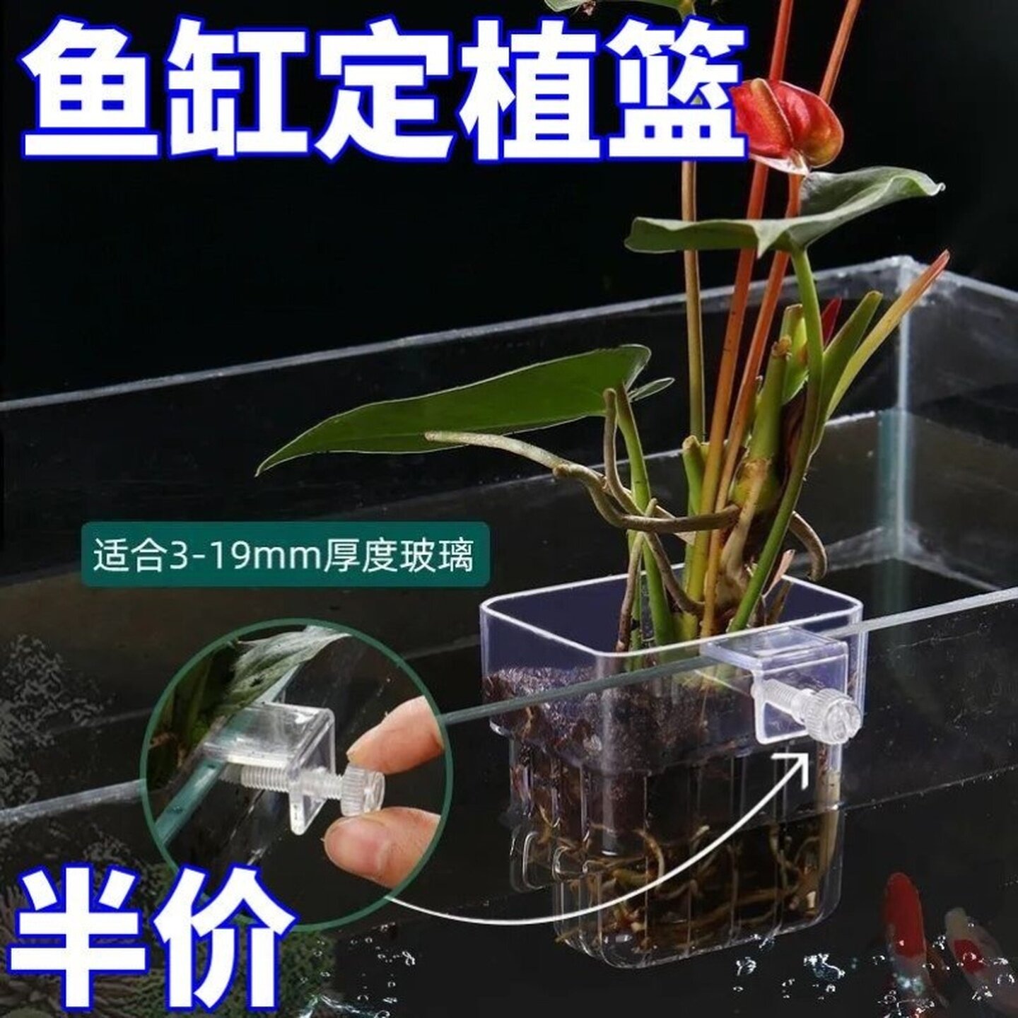 水培植物篮鱼缸挂篮水草种植杯壁挂式挺水植物定植篮鱼缸造景装饰