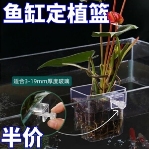 水培植物篮鱼缸挂篮水草种植杯壁挂式挺水植物定植篮鱼缸造景装饰