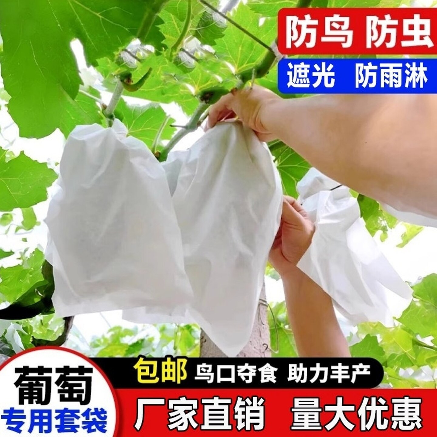 石榴包葡萄的纸袋专用袋子番石榴露天防水防晒防虫纸袋保护水果袋