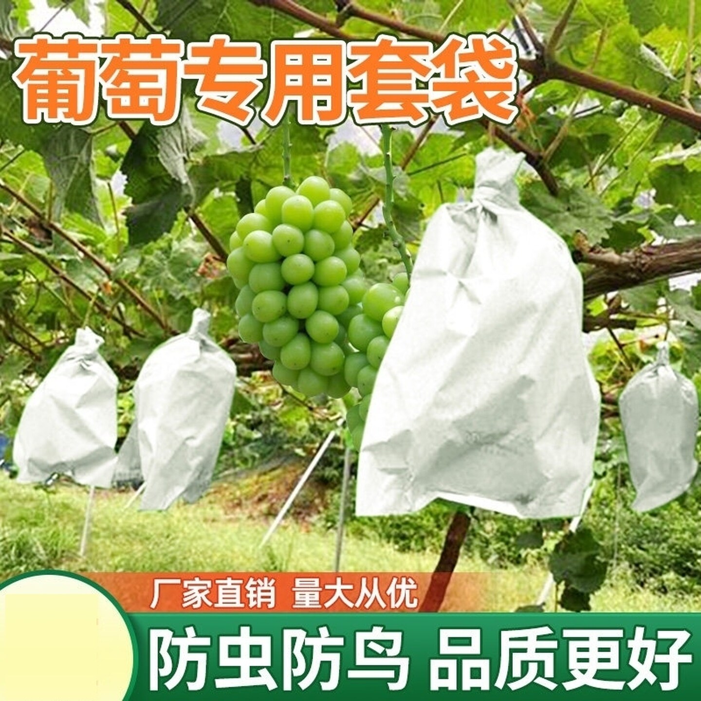 包葡萄的纸袋阳光玫瑰防雨防虫透气水果袋防鸟莲雾保护袋防水露天