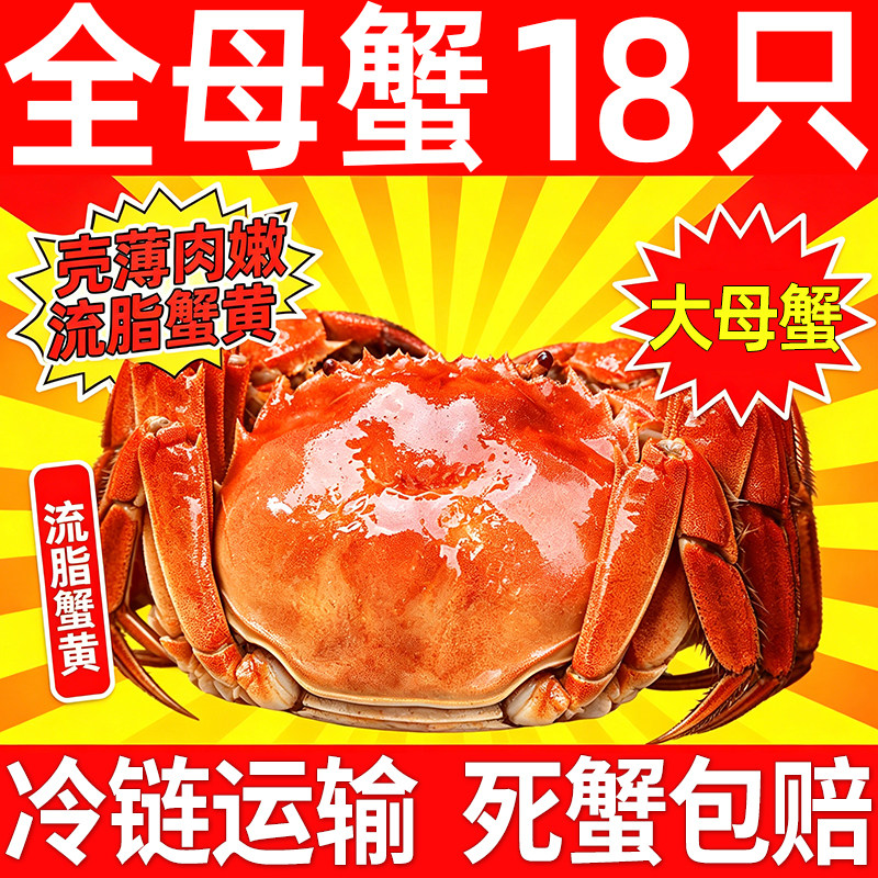 【活蟹】6-18只大闸蟹鲜活全母蟹螃蟹现货水产湖蟹含绳中秋送礼盒